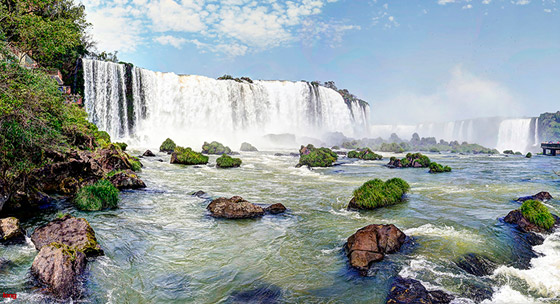 Argentina Wildlife Tours