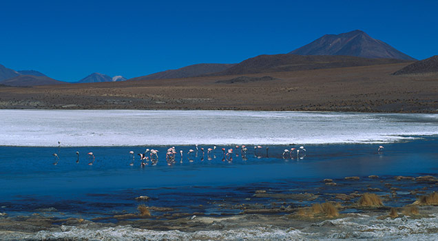 Andes Region