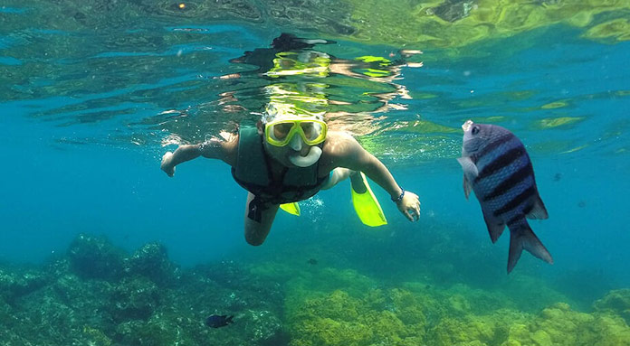 Snorkeling at Fernando de Noronha
