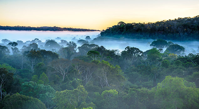Amazon Region