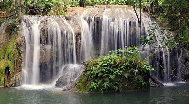 Pristine Nature