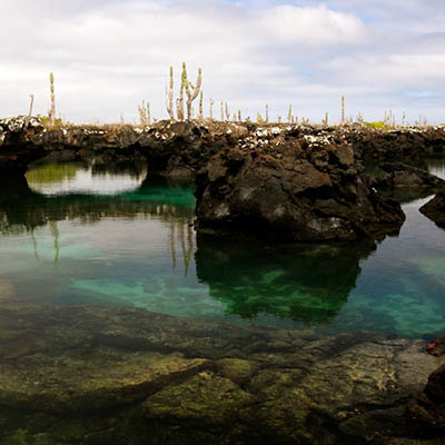Cabo Rosa Galapagos