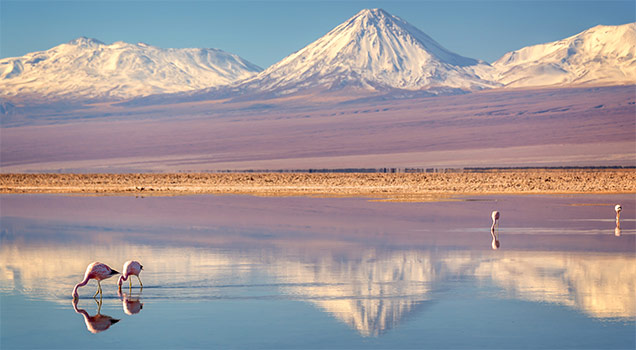 Atacama Desert