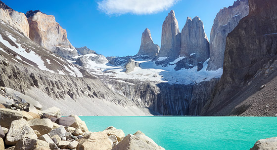 Chile Wildlife Tours
