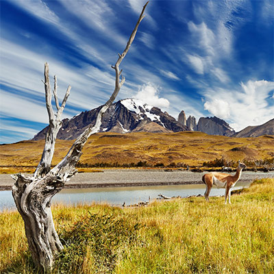 Travel to Patagonia