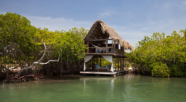 Amazon Region