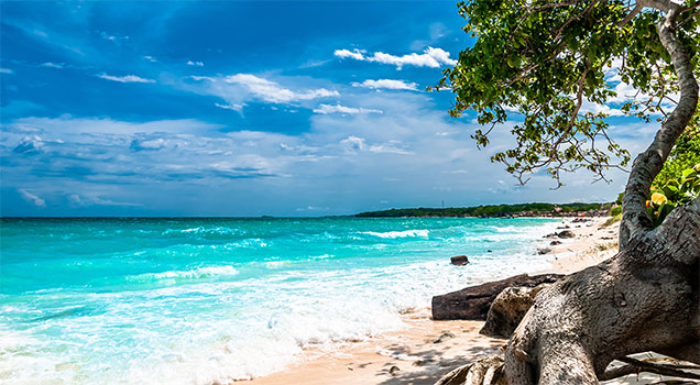 Caribbean Beaches