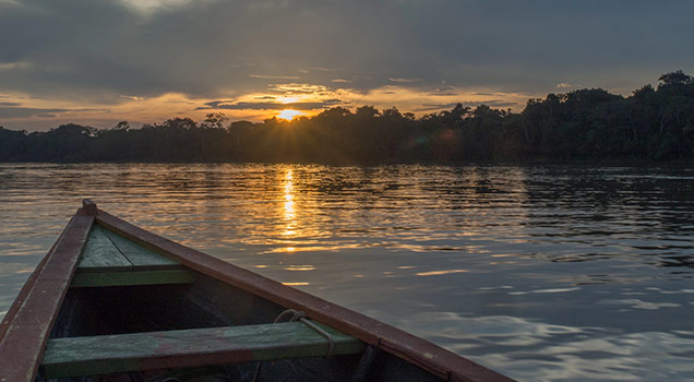 Amazon Region