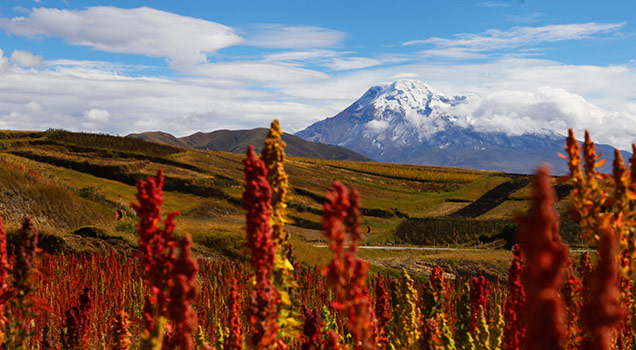 Andes Region