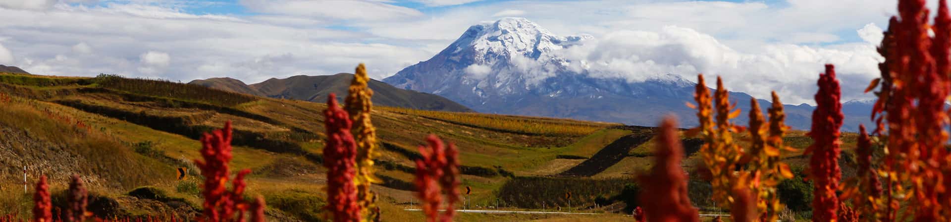 Ecuador Travel Highlights