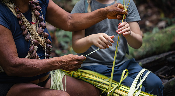 Amazon Rainforest Culture