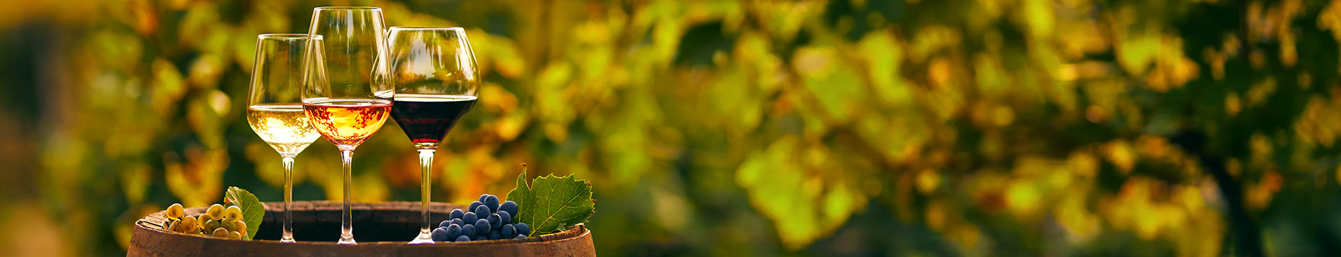 Chile Travel Highlights