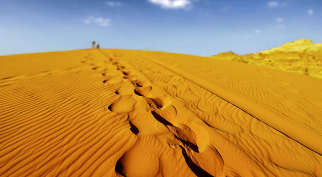 Casma Desert
