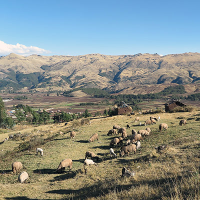 Sacred Valley Peru