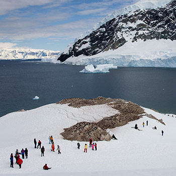 Travel to South Georgia