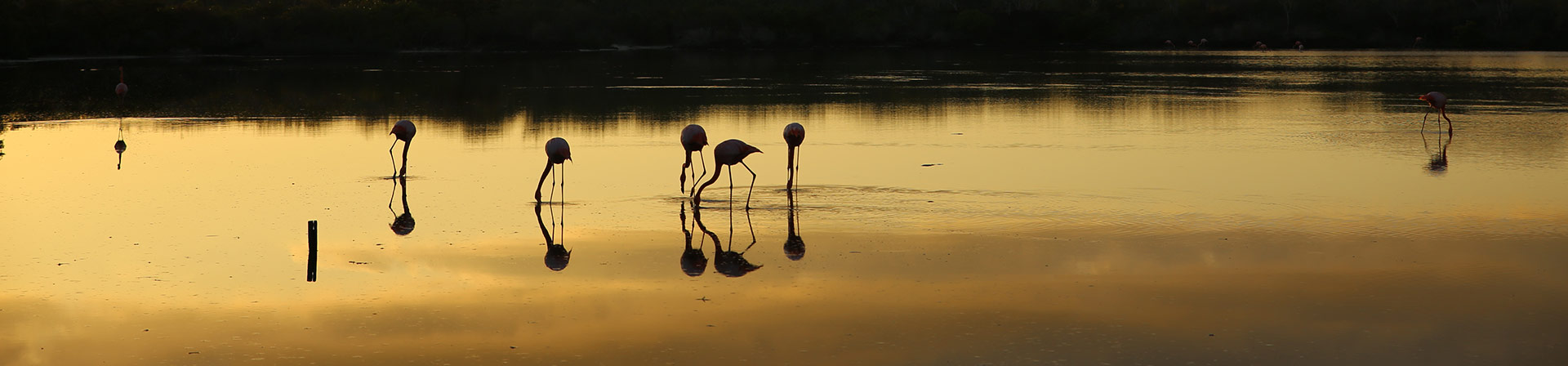 Nature and Wildlife Tours