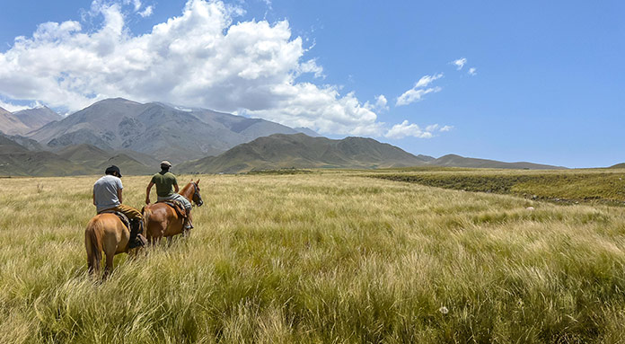 Gaucho Cowboy Culture