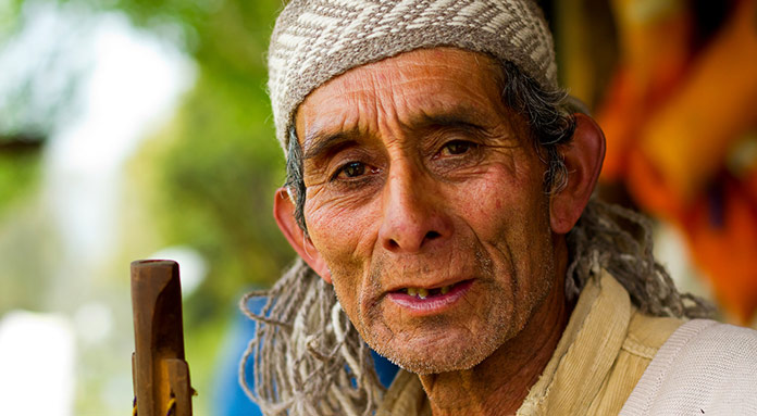 Mapuche Culture