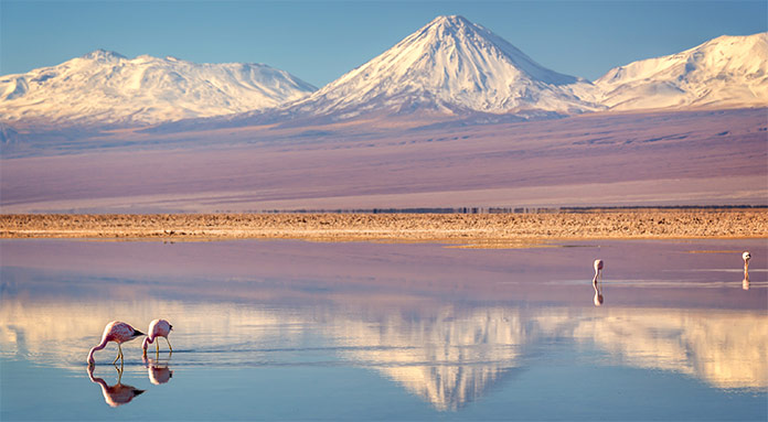 Chaxa Lagoon Sightseeing