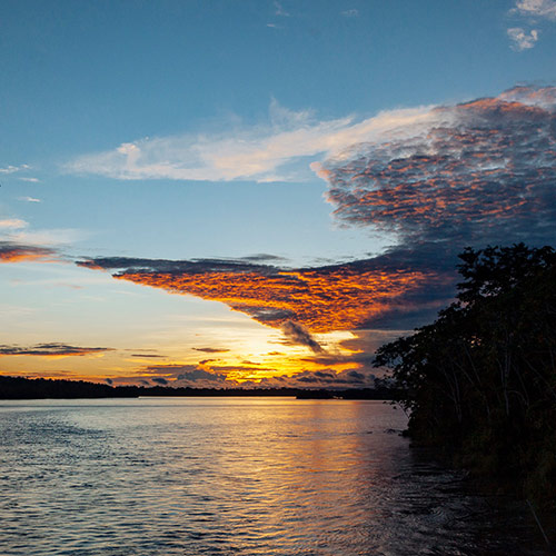 Amazon Jungle River