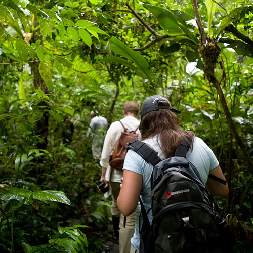 Amazon Expedition
