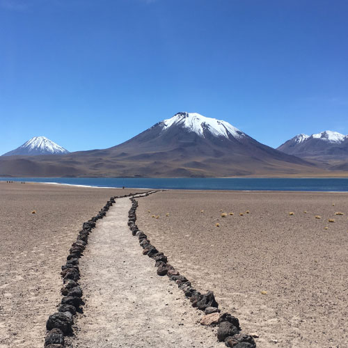 Cejar Lagoon Atacama