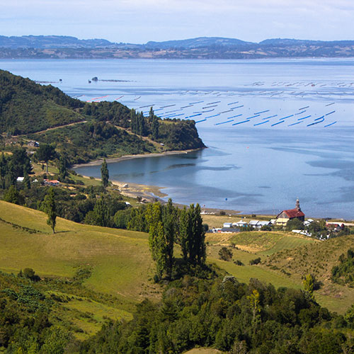 Chiloe Lake