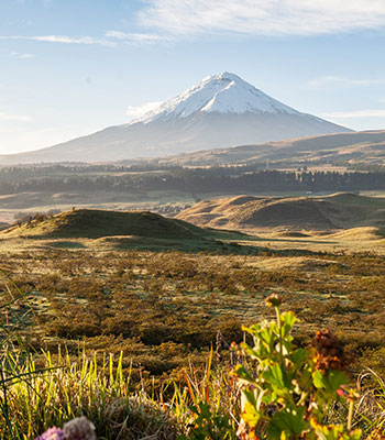 Scenic Ecuador