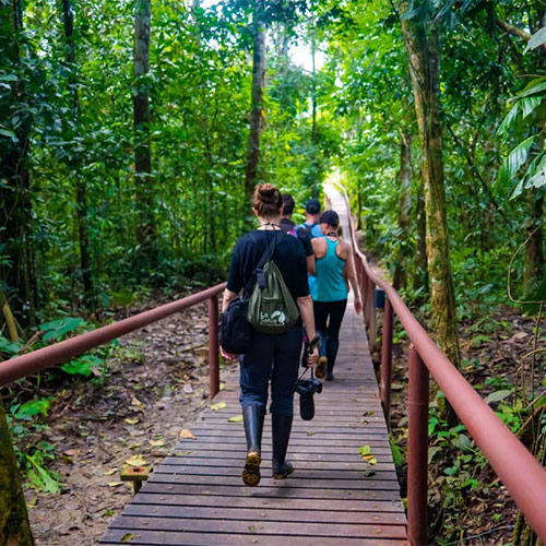 La Selva Coto Trail