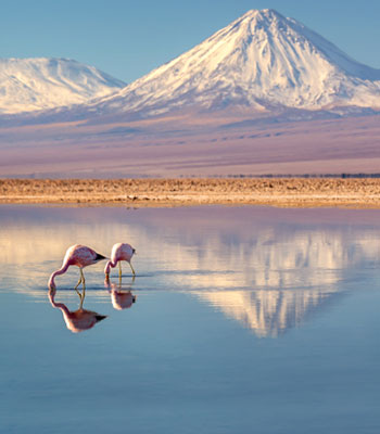 Magic Chile: Santiago & Atacama Desert