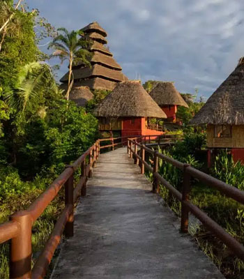 Napo Wildlife Center