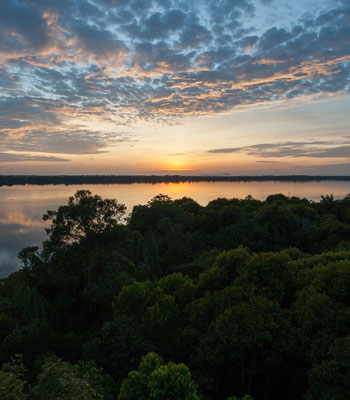 Brazilian Amazon & Manaus