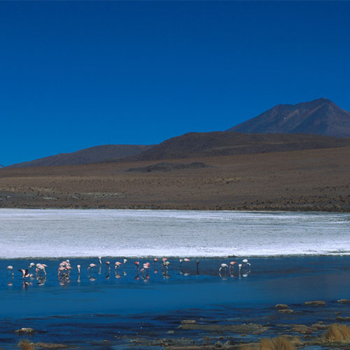 Incahuasi