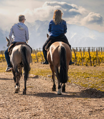 Mendoza Wine Region