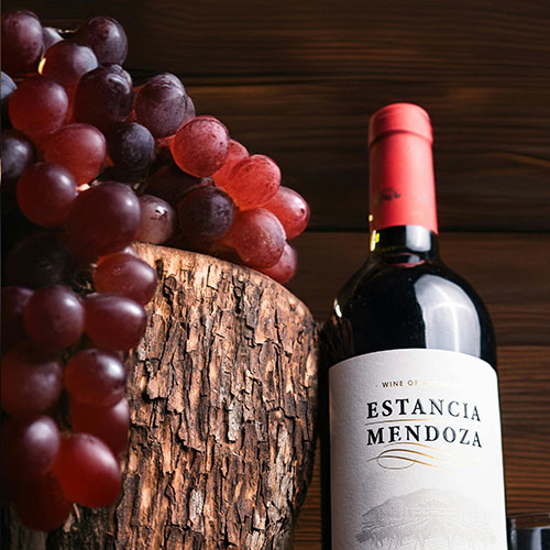 Mendoza Wine