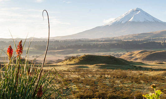 Ecuador Packages